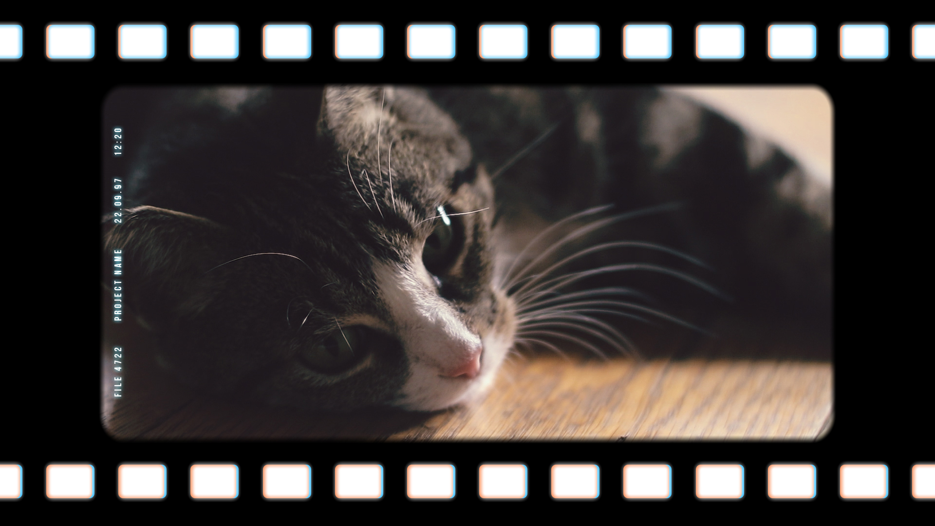 Arianne de Jong – Videoportret